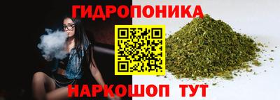 ECSTASY Рязань