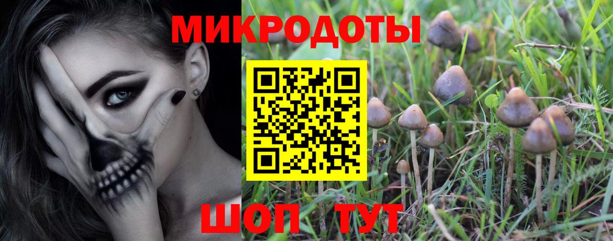 Галлюциногенные грибы прущие грибы  купить наркоту  Сланцы  Вход с VPN  Псилоцибиновые грибы мухоморы 