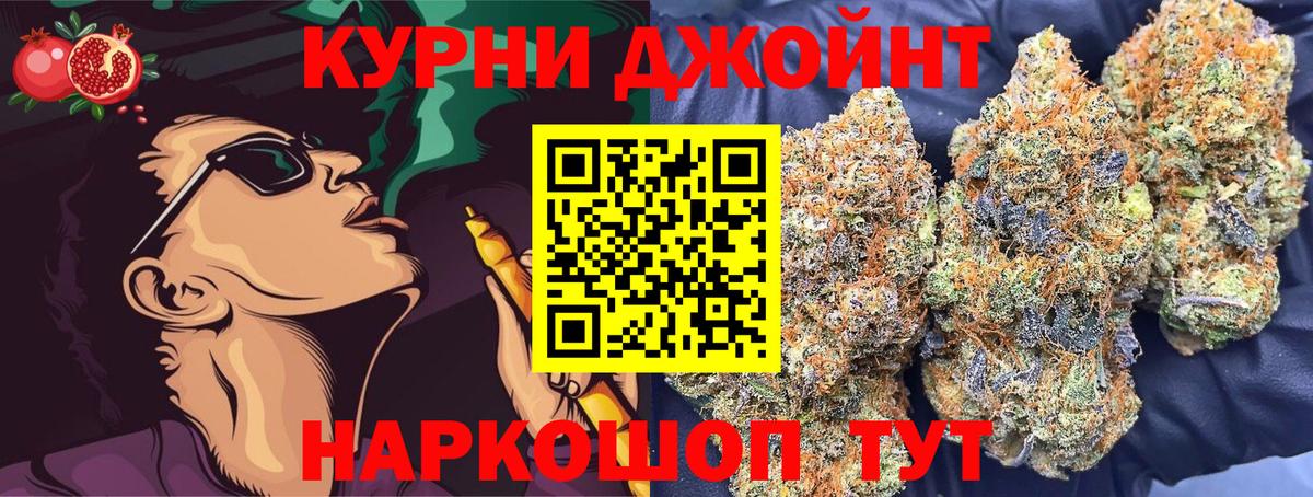 Бошки марихуана тримм  Бошки марихуана план  Сланцы  Вход с VPN  Конопля семена 